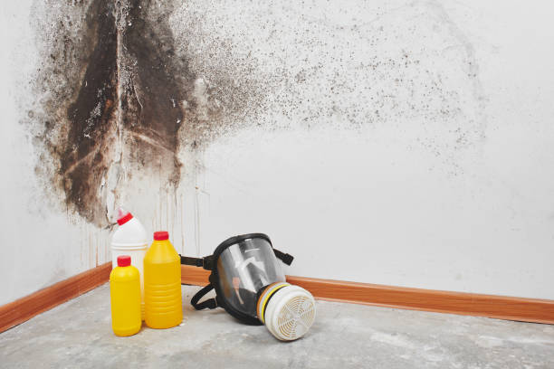 Water damage restoration experts in Princeton, NC